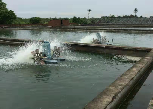 案例SQ-11