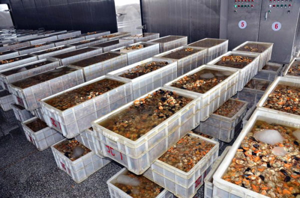 扇貝加工的產(chǎn)業(yè)布局與國(guó)際貿(mào)易 以大連長(zhǎng)海縣和綏芬河保稅區(qū)為例