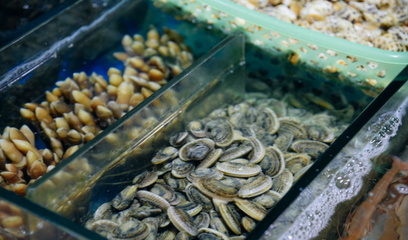 三亞旅游必打卡 第一市場(chǎng)海鮮琳瑯滿目，周邊加工川味一條街體驗(yàn)獨(dú)特海產(chǎn)品加工